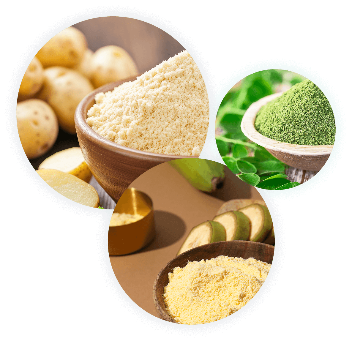 Dehydrated food processing